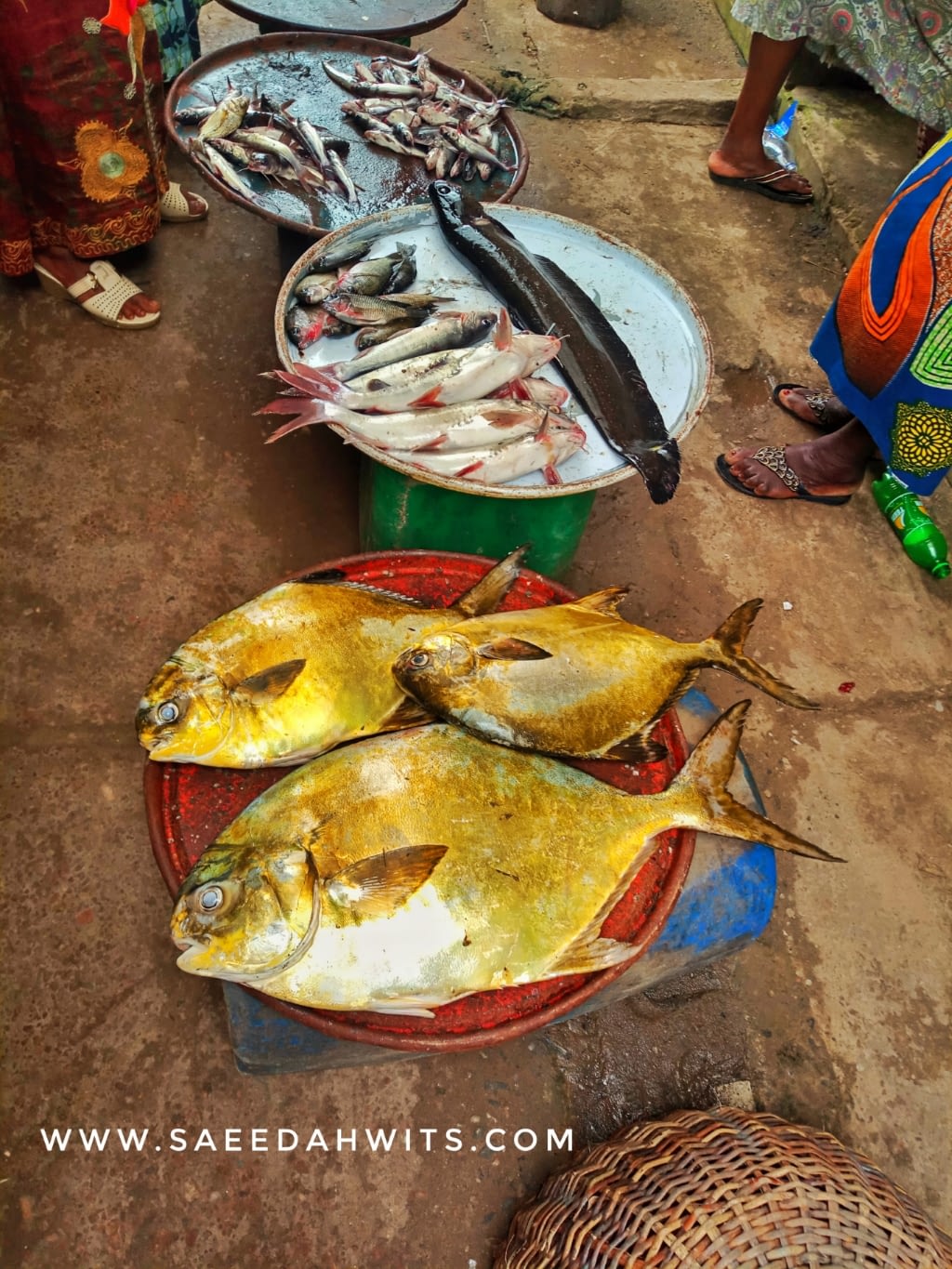 Epe Fish Market